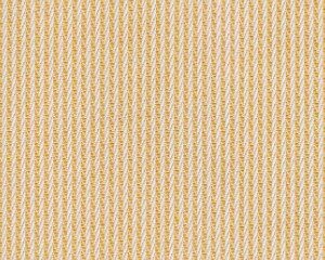 Pumpkin Colour Sample